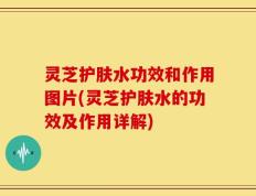 灵芝护肤水功效和作用图片(灵芝护肤水的功效及作用详解)