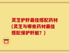 灵芝护肝最佳搭配药材(灵芝与哪些药材最佳搭配保护肝脏？)