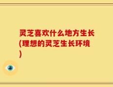 灵芝喜欢什么地方生长(理想的灵芝生长环境)