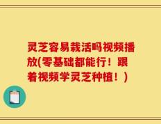 灵芝容易栽活吗视频播放(零基础都能行！跟着视频学灵芝种植！)