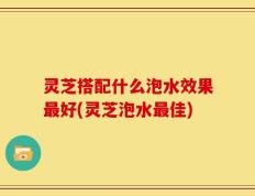 灵芝搭配什么泡水效果最好(灵芝泡水最佳)
