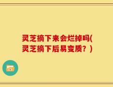 灵芝摘下来会烂掉吗(灵芝摘下后易变质？)