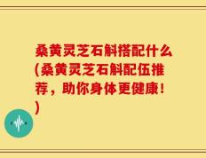 桑黄灵芝石斛搭配什么(桑黄灵芝石斛配伍推荐，助你身体更健康！)