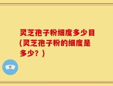 灵芝孢子粉细度多少目(灵芝孢子粉的细度是多少？)
