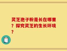 灵芝孢子粉是长在哪里？探究灵芝的生长环境？