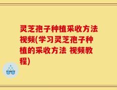 灵芝孢子种植采收方法视频(学习灵芝孢子种植的采收方法 视频教程)