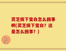 灵芝摘下变白怎么回事啊(灵芝摘下变白？这是怎么回事？)
