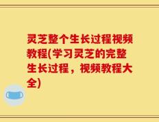 灵芝整个生长过程视频教程(学习灵芝的完整生长过程，视频教程大全)