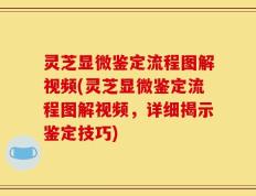 灵芝显微鉴定流程图解视频(灵芝显微鉴定流程图解视频，详细揭示鉴定技巧)