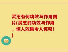 灵芝有何功效与作用图片(灵芝的功效与作用，惊人效果令人惊叹！)