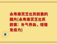永寿康灵芝北芪胶囊的图片(永寿康灵芝北芪胶囊：补气养血，增强免疫力)