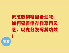 灵芝放到哪里合适吃(如何妥善储存和享用灵芝，以充分发挥其功效)