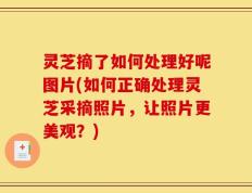 灵芝摘了如何处理好呢图片(如何正确处理灵芝采摘照片，让照片更美观？)