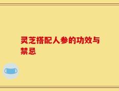 灵芝搭配人参的功效与禁忌