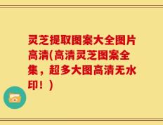 灵芝提取图案大全图片高清(高清灵芝图案全集，超多大图高清无水印！)