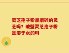 灵芝孢子粉是磨碎的灵芝吗？破壁灵芝孢子粉是溶于水的吗