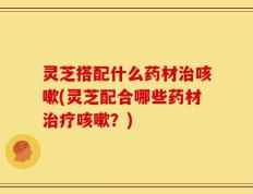 灵芝搭配什么药材治咳嗽(灵芝配合哪些药材治疗咳嗽？)