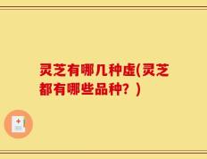 灵芝有哪几种虚(灵芝都有哪些品种？)