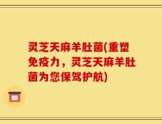 灵芝天麻羊肚菌(重塑免疫力，灵芝天麻羊肚菌为您保驾护航)