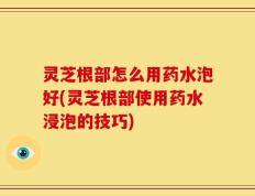 灵芝根部怎么用药水泡好(灵芝根部使用药水浸泡的技巧)
