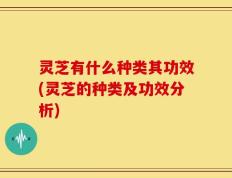 灵芝有什么种类其功效(灵芝的种类及功效分析)