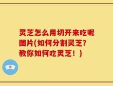 灵芝怎么用切开来吃呢图片(如何分割灵芝？教你如何吃灵芝！)