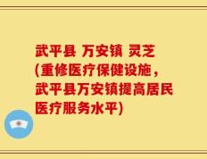 武平县 万安镇 灵芝(重修医疗保健设施，武平县万安镇提高居民医疗服务水平)