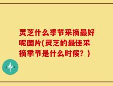 灵芝什么季节采摘最好呢图片(灵芝的最佳采摘季节是什么时候？)