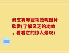 灵芝有哪些功效呢图片欣赏(了解灵芝的功效，看看它的惊人景观)