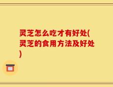灵芝怎么吃才有好处(灵芝的食用方法及好处)