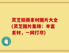 灵芝拍摄素材图片大全(灵芝图片集锦：丰富素材，一网打尽)