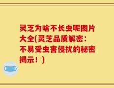 灵芝为啥不长虫呢图片大全(灵芝品质解密：不易受虫害侵扰的秘密揭示！)