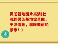 灵芝基地图片高清(壮观的灵芝基地实景图，干净清晰，展现美丽的景象！)