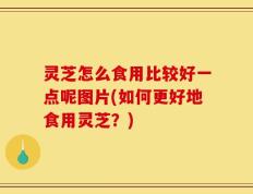 灵芝怎么食用比较好一点呢图片(如何更好地食用灵芝？)