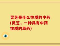 灵芝是什么性质的中药(灵芝，一种具有中药性质的草药)