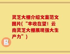灵芝大棚介绍文案范文图片(“丰收在望！云南灵芝大棚展现强大生产力”)