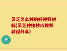 灵芝怎么种的好视频讲解(灵芝种植技巧视频教程分享)