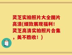 灵芝实拍照片大全图片高清(细致展现福利！灵芝高清实拍照片合集，美不胜收！)