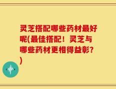 灵芝搭配哪些药材最好呢(最佳搭配！灵芝与哪些药材更相得益彰？)