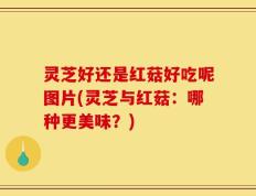 灵芝好还是红菇好吃呢图片(灵芝与红菇：哪种更美味？)