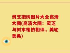 灵芝抱树图片大全高清大图(高清大图：灵芝与树木相依相伴，美轮美奂)