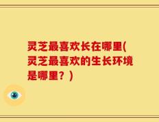 灵芝最喜欢长在哪里(灵芝最喜欢的生长环境是哪里？)