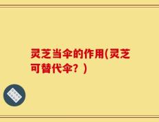 灵芝当伞的作用(灵芝可替代伞？)
