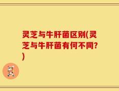 灵芝与牛肝菌区别(灵芝与牛肝菌有何不同？)