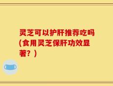 灵芝可以护肝推荐吃吗(食用灵芝保肝功效显著？)