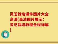 灵芝栽培课件图片大全高清(高清图片展示：灵芝栽培教程全程详解)
