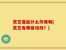 灵芝是起什么作用呢(灵芝有哪些功效？)