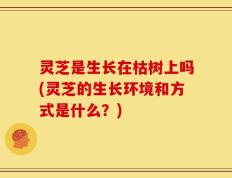 灵芝是生长在枯树上吗(灵芝的生长环境和方式是什么？)