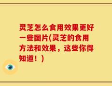 灵芝怎么食用效果更好一些图片(灵芝的食用方法和效果，这些你得知道！)