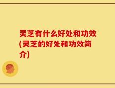 灵芝有什么好处和功效(灵芝的好处和功效简介)